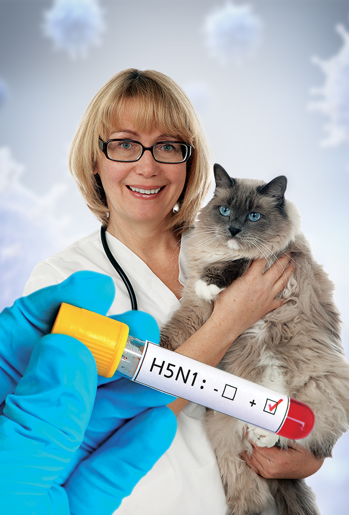 H5N1’de nadir geçiş, kediden hekime bulaş tespit edildi