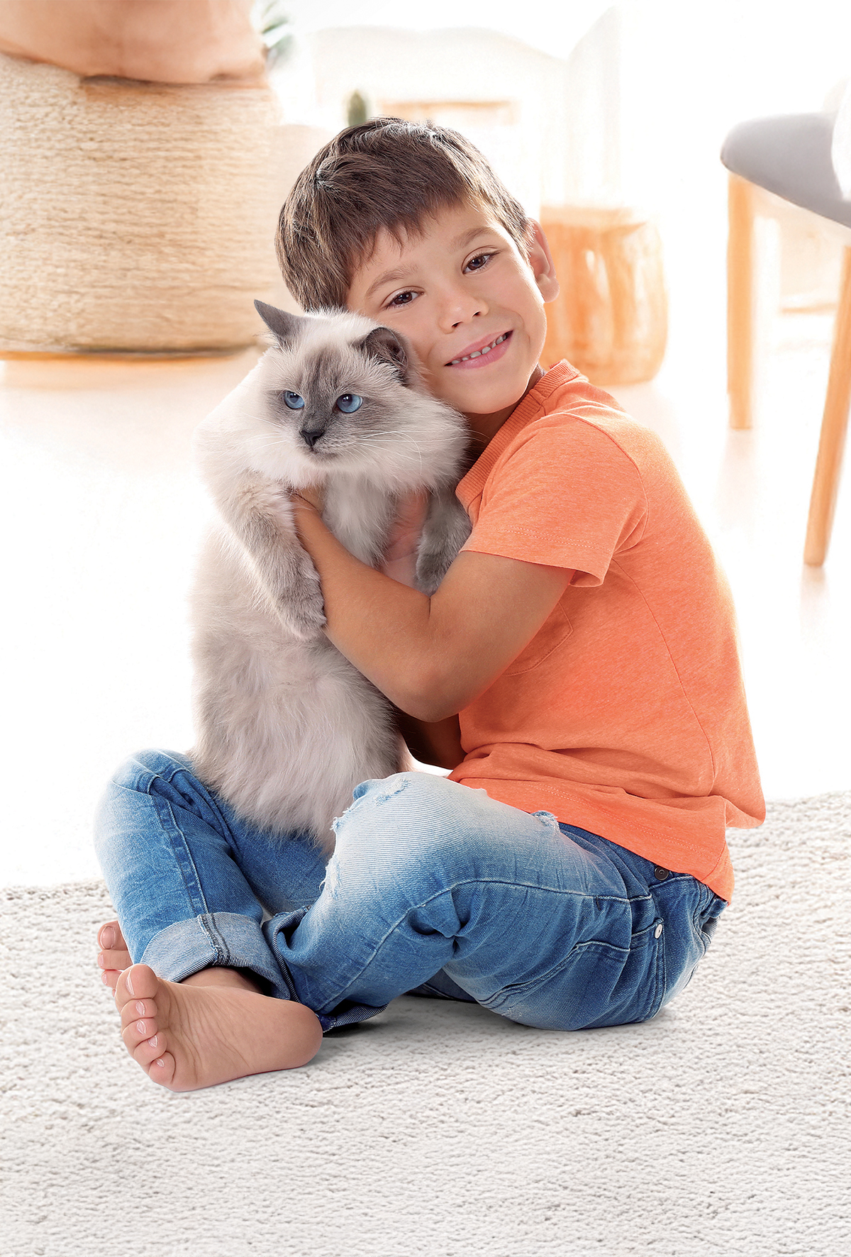 Kedi-insan bağının sihirli yapısı