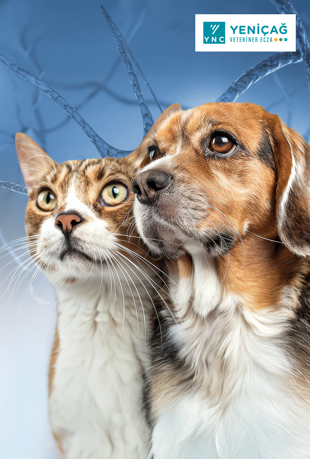 Alzer Pets: Nöroprotektif destek yaklaşımına güncel bir bakış