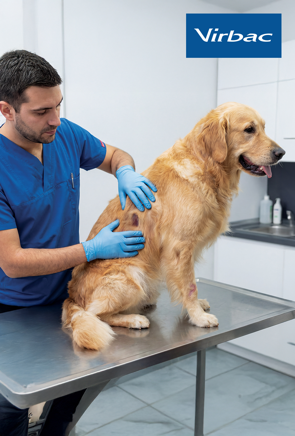 VIRBAC Vetcentric: Hekim odaklı klinik yaklaşım
