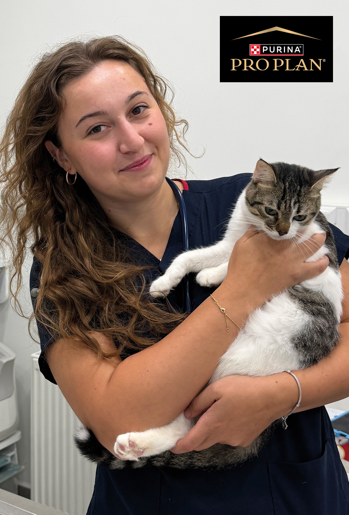 Tüy yumağına karşı doğru yaklaşım: PRO PLAN® Hairball Care